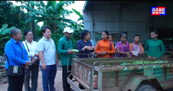 វីដេអូ៖ សហគមន៍បន្លែសុវត្ថិភាពភូមិល្វាជោម ជួយបង្កើនជីវភាពកសិករ និងផ្គត់ផ្គង់បន្លែសុវត្ថិភាពដល់ទីផ្សារ