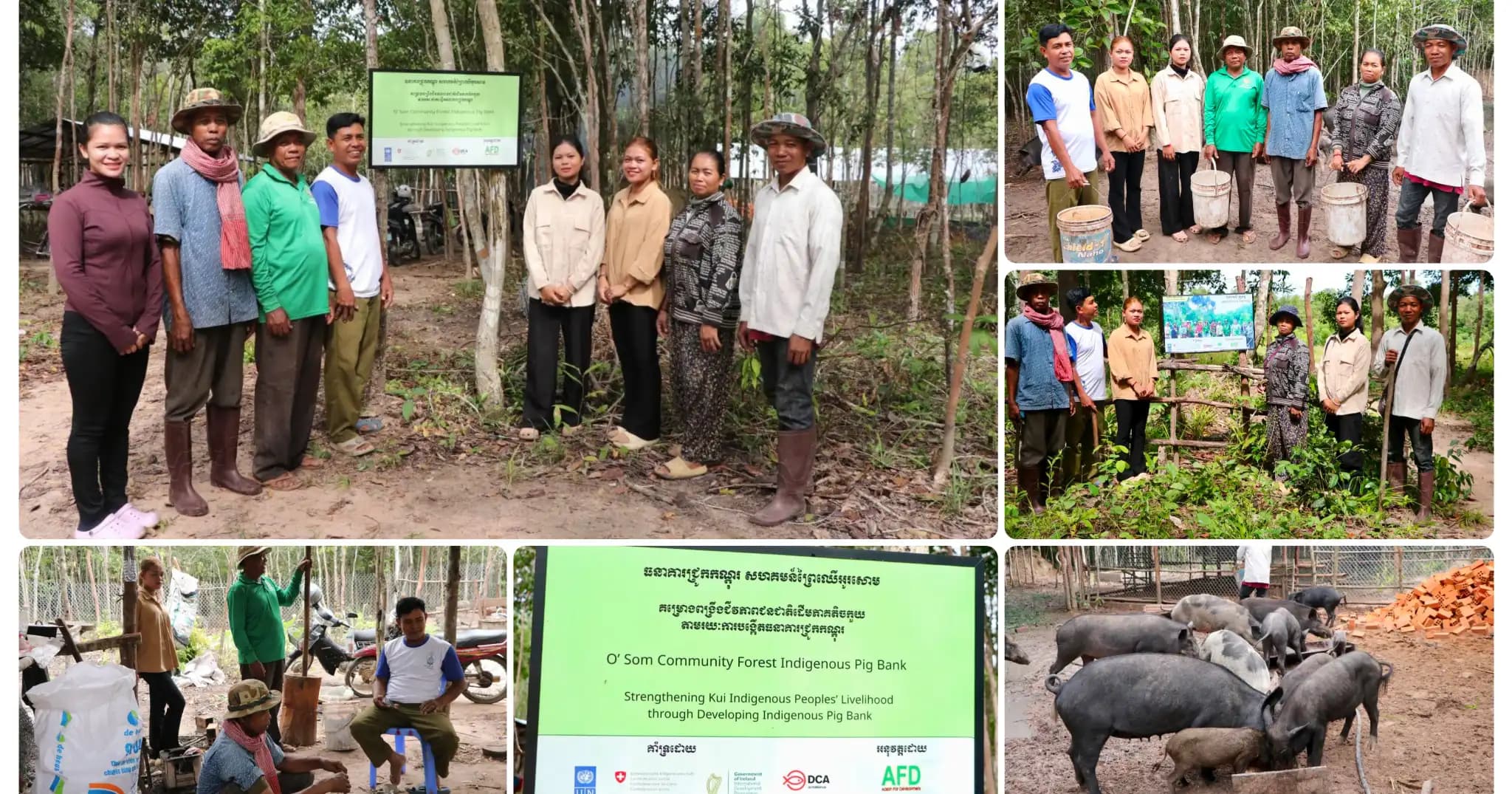 អង្គការសកម្មភាពដើម្បីអភិវឌ្ឍន៍(AFD ) ចុះពង្រឹងដល់គណៈកម្មការ ធនាគារជ្រូកកណ្ដុរ និងចម្ការកសិរុក្ខកម្ម ក្នុងសហគមន៍ព្រៃឈើអូរសោម ខេត្តកំពង់ធំ